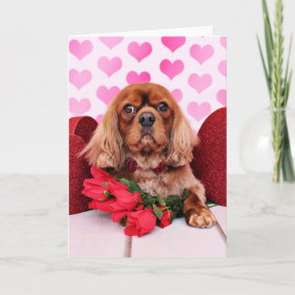 Valentines - Cavalier - Cooper Holiday Card
