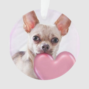 Valentine's Chihuahua dog acrilyc ornament