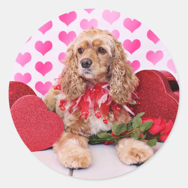 Valentines - Cocker Spaniel - Bella Classic Round Sticker (Front)