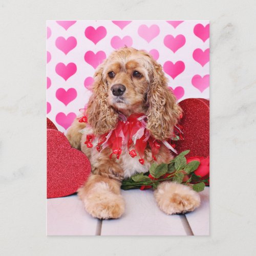 Valentines _ Cocker Spaniel _ Bella Holiday Postcard