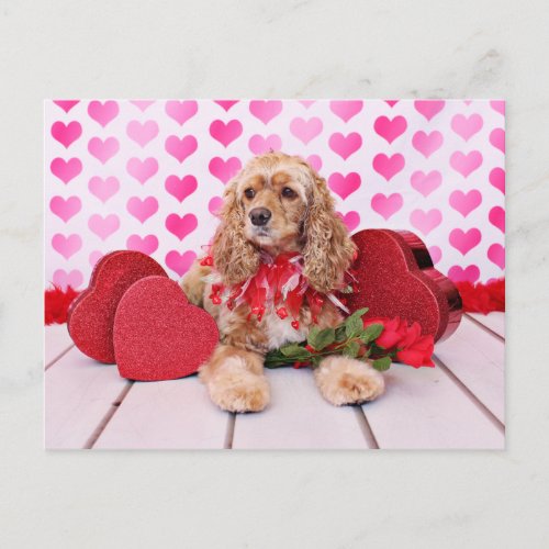 Valentines _ Cocker Spaniel _ Bella Holiday Postcard