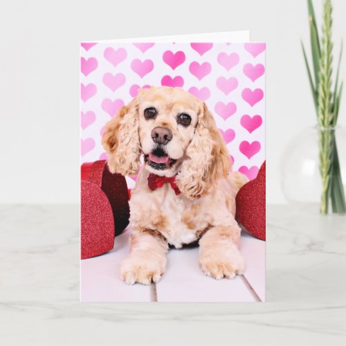 Valentines _ Cocker Spaniel _ Duke Holiday Card