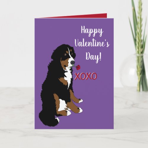 Valentines Day Bernese Mountain Dog Card