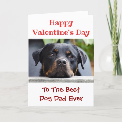 Valentines Day Best Dog Dad Ever Pet Photo Holiday Card