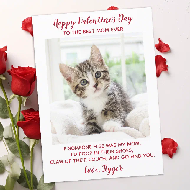 Valentines Day Best Mom Ever Custom Pet Cat Photo Holiday Card | Zazzle