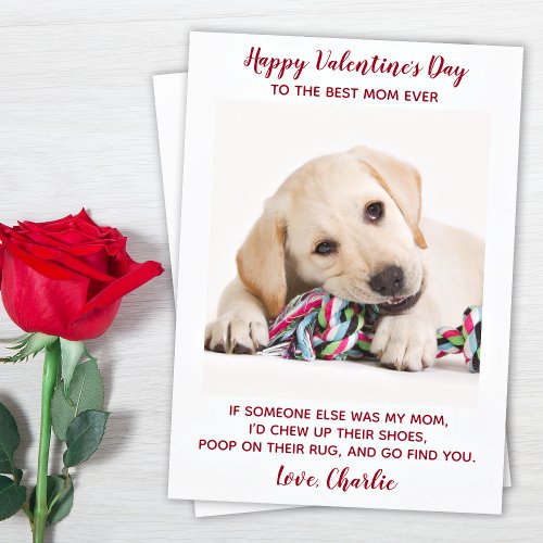 Valentines Day Best Mom Ever Custom Pet Dog Photo Holiday Card