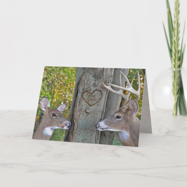 Valentine's Day buck and doe with heart on tree Card (Front)