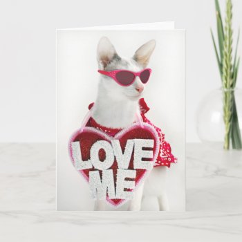 Valentine's Day Card By Skeezix The Cat by knichols1109 at Zazzle