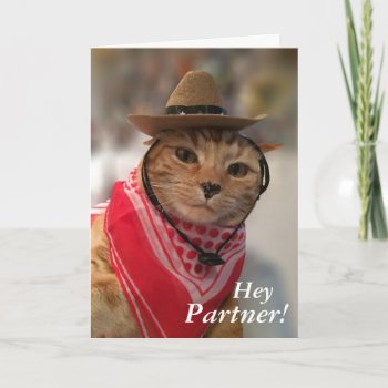 Valentine's Day Card For Cat Lovers And Cowboys! by CrazyTabby at Zazzle