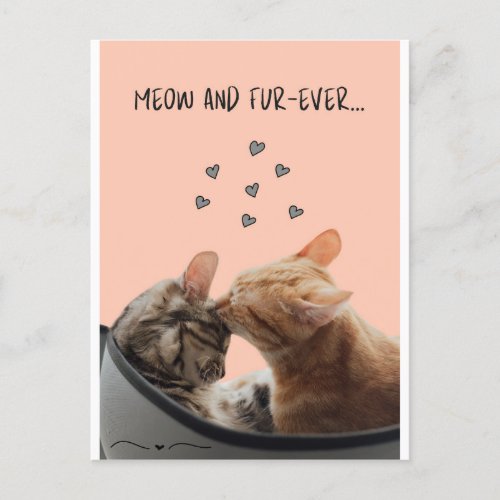 Valentines Day Card Meow and Fur_Ever Postcard