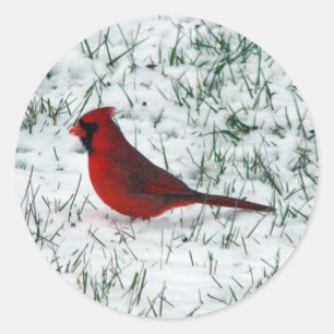 Valentine's Day Cardinal  Classic Round Sticker