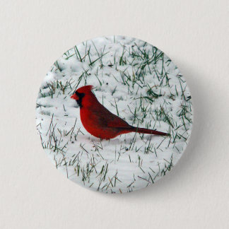 Valentine's Day Cardinal Classic Round Sticker Button