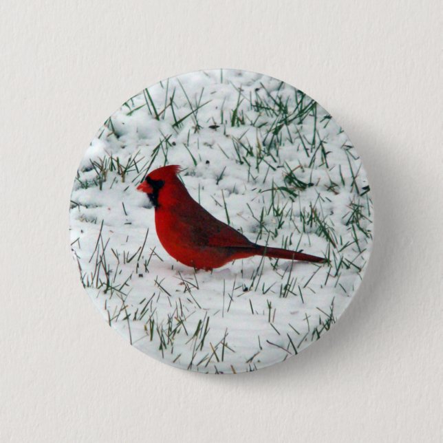 Valentine's Day Cardinal  Classic Round Sticker Button (Front)