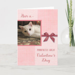 Valentine's Day  - cat custom photo card