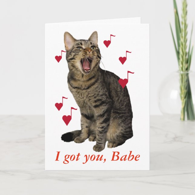 Valentine's Day cat singing Holiday Card (Front)
