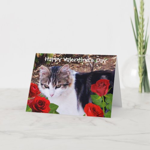 VALENTINES DAY CAT WITH RED ROSES HOLIDAY CARD