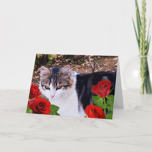 VALENTINES DAY CAT WITH RED ROSES HOLIDAY CARD