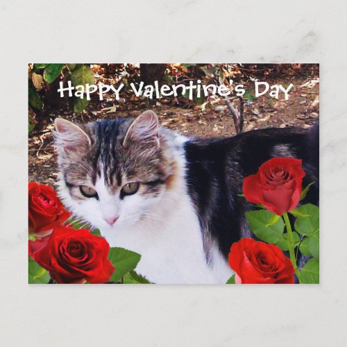 VALENTINES DAY CAT WITH RED ROSES HOLIDAY POSTCARD