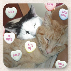 Valentine's Day Cats Beverage Coaster