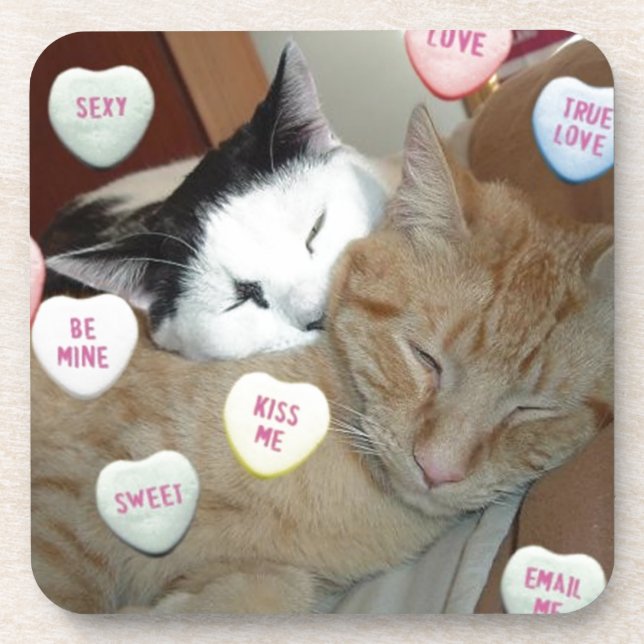Valentine's Day Cats Beverage Coaster (Front)
