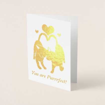 Valentine&#39;s Day Cats Foil Card