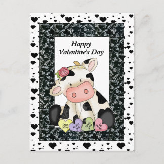 Valentine's Day Cow postcard