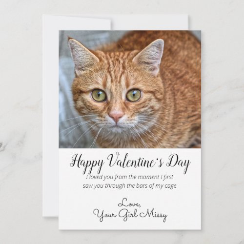Valentines Day Custom Cat Photo Holiday Card