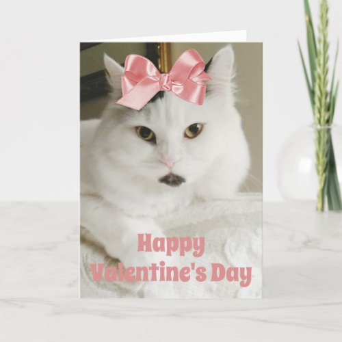 Valentines Day Cute Cat Custom Photo Personalized Holiday Card