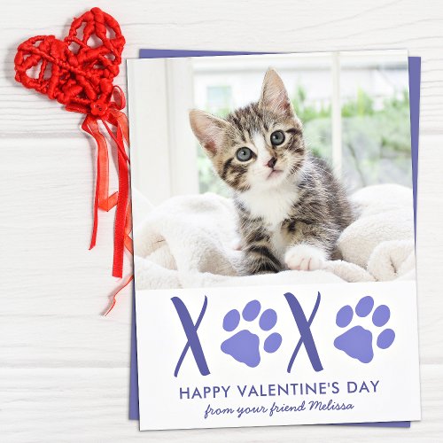 Valentines Day Cute Cat Pet Photo Holiday Card