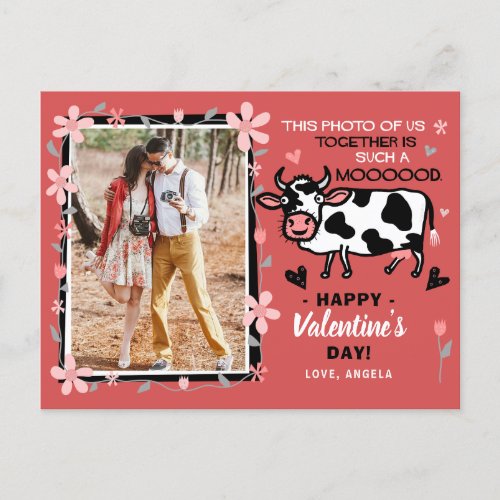 Valentines Day Cute Cow Custom Couple Photo Funny Postcard