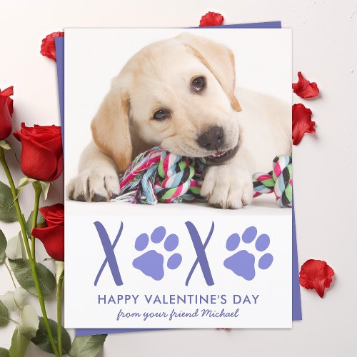 Valentines Day Cute Dog Pet Photo Holiday Card