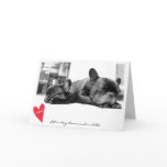 Valentine's Day Cute French Bulldog Photo Cuddle Holiday Card Valentine's Day Cute French Bulldog Photo Cuddle Holiday Card