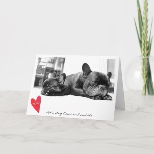 Valentines Day Cute French Bulldog Photo Cuddle Holiday Card