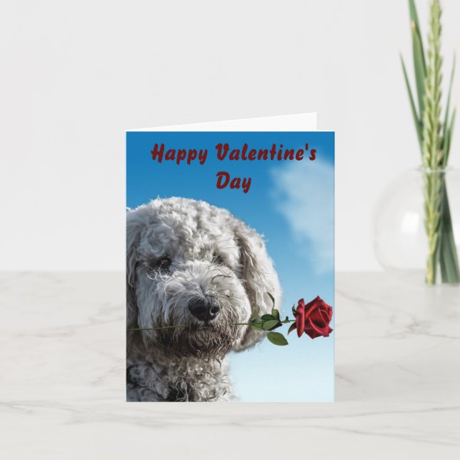  Valentine's Day Cute Puppy Card (Front)