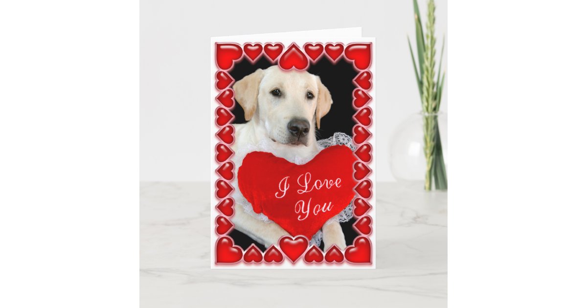 Valentine's Day Dog Card | Zazzle.com