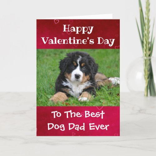 Valentines Day Dog Dad Worlds Best Ever Pet Photo Holiday Card