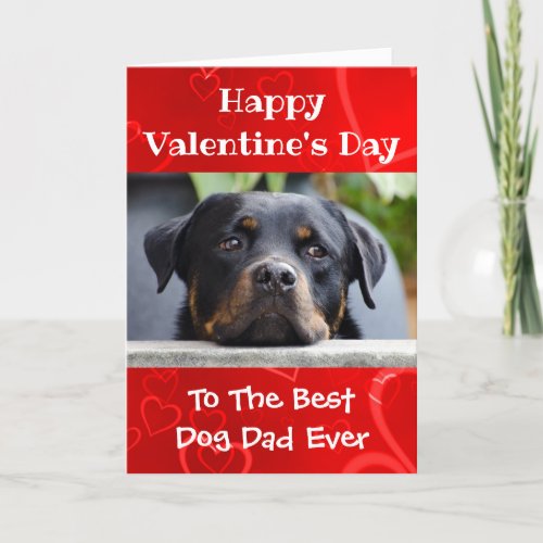Valentines Day Dog Dad Worlds Best Ever Pet Photo Holiday Card