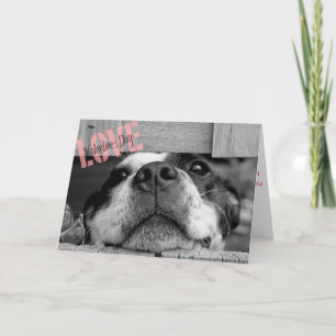 Valentine's day Dog Greeting Card