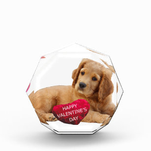 Valentine's Day Dog Photo Award