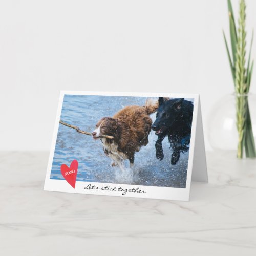 Valentines Day Dog Photo Lets Stick Together Holiday Card