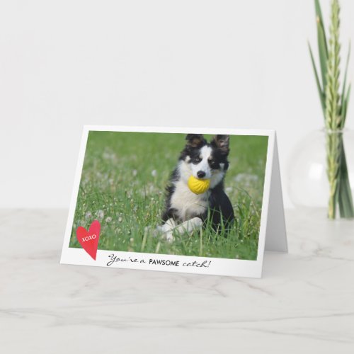 Valentines Day Dog Photo Youre a Pawsome Catch Holiday Card