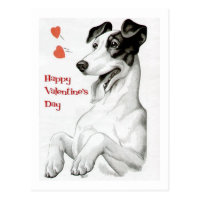 Valentines Day Dog Postcard