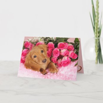 Valentine's Day From The Dog Card by DoggieAvenue at Zazzle