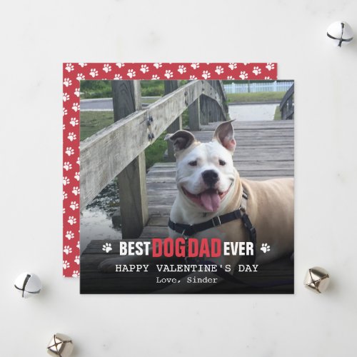 Valentines Day From The Dog Photo Flat Holiday Card