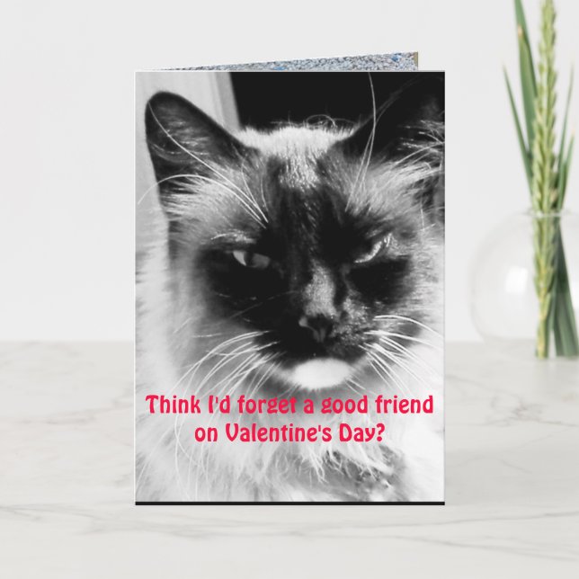 Valentine's Day Funny Cat for Friends Holiday Card (Front)