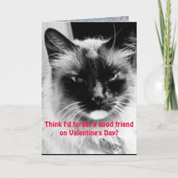 Valentine's Day Funny Cat For Friends Holiday Card by Rebecca_Reeder at Zazzle
