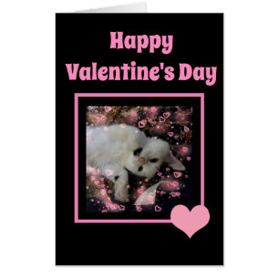 Valentines Day Funny Cat Pink Hearts Jumbo Card