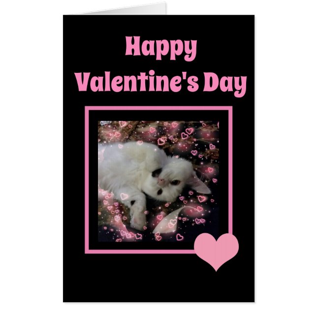 Valentines Day Funny Cat Pink Hearts Jumbo Card (Front)