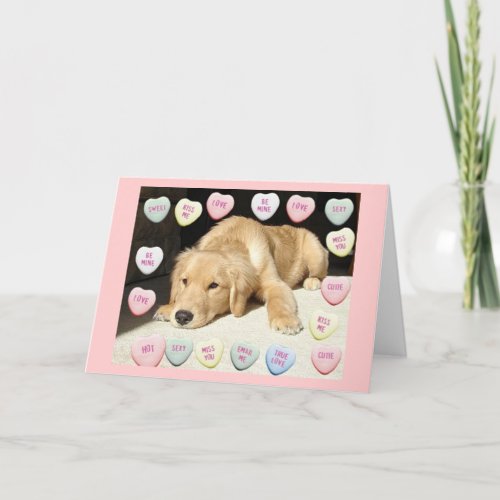 Valentines Day Golden Retriever Holiday Card