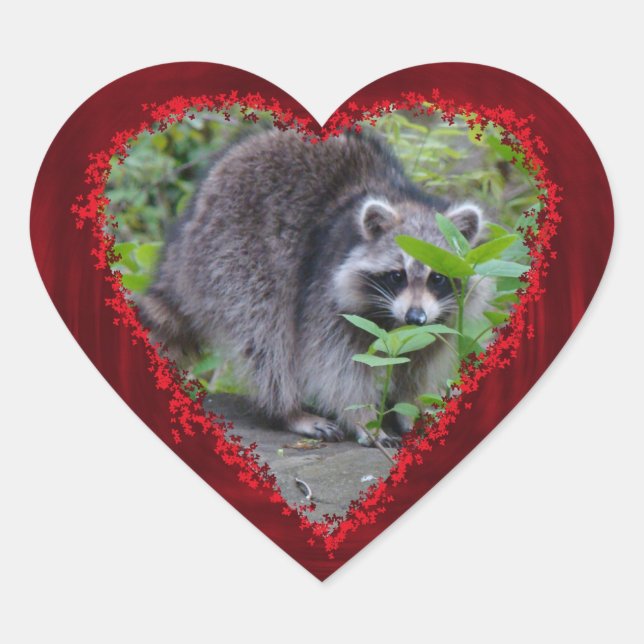 Valentine's Day Greeting - Shy Raccoon Heart Sticker (Front)